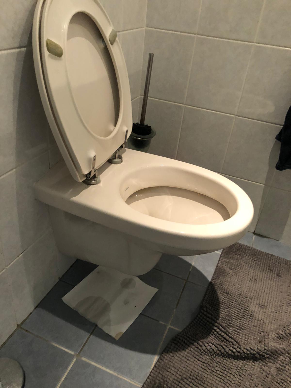 hangtoilet Maarssen